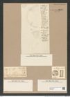 Melosira arenaria Moore. (de-Toni-Nr.: Genus 213, Species 5320) Zeichnungen Sammlung Grunow Nr. 9237 (NHMW-BOT-W0379026)